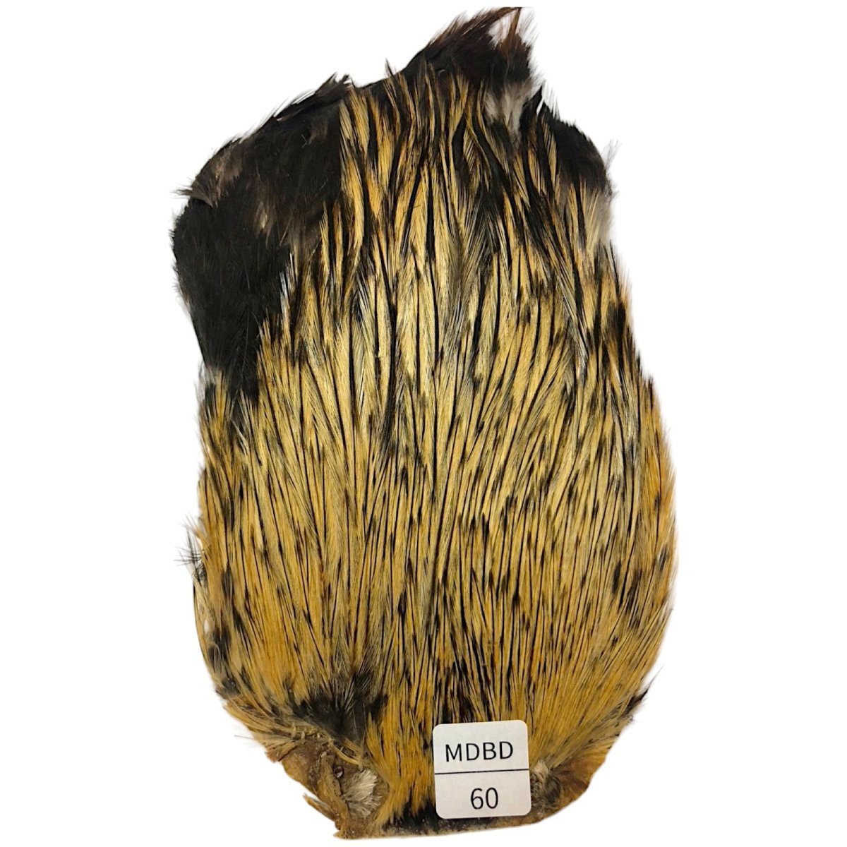 画像1: インドコックケープ India Cock Neck Cape　　ミディアムバジャー　NO60 (1)