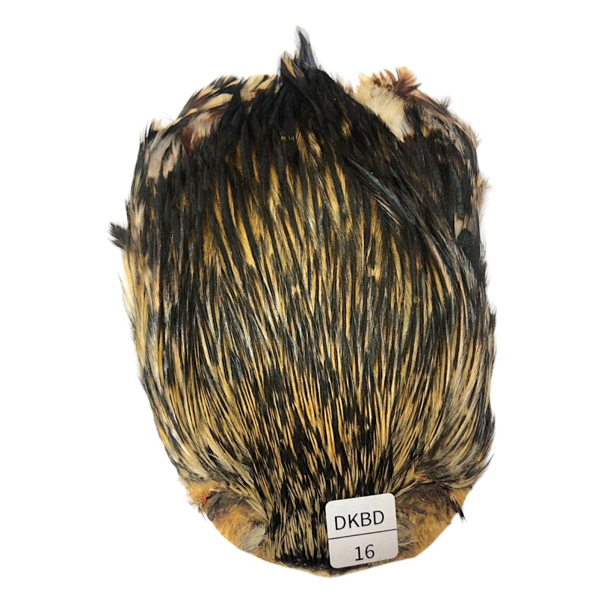 画像1: インドコックケープ India Cock Neck Cape　　ダークバジャー　NO16 (1)