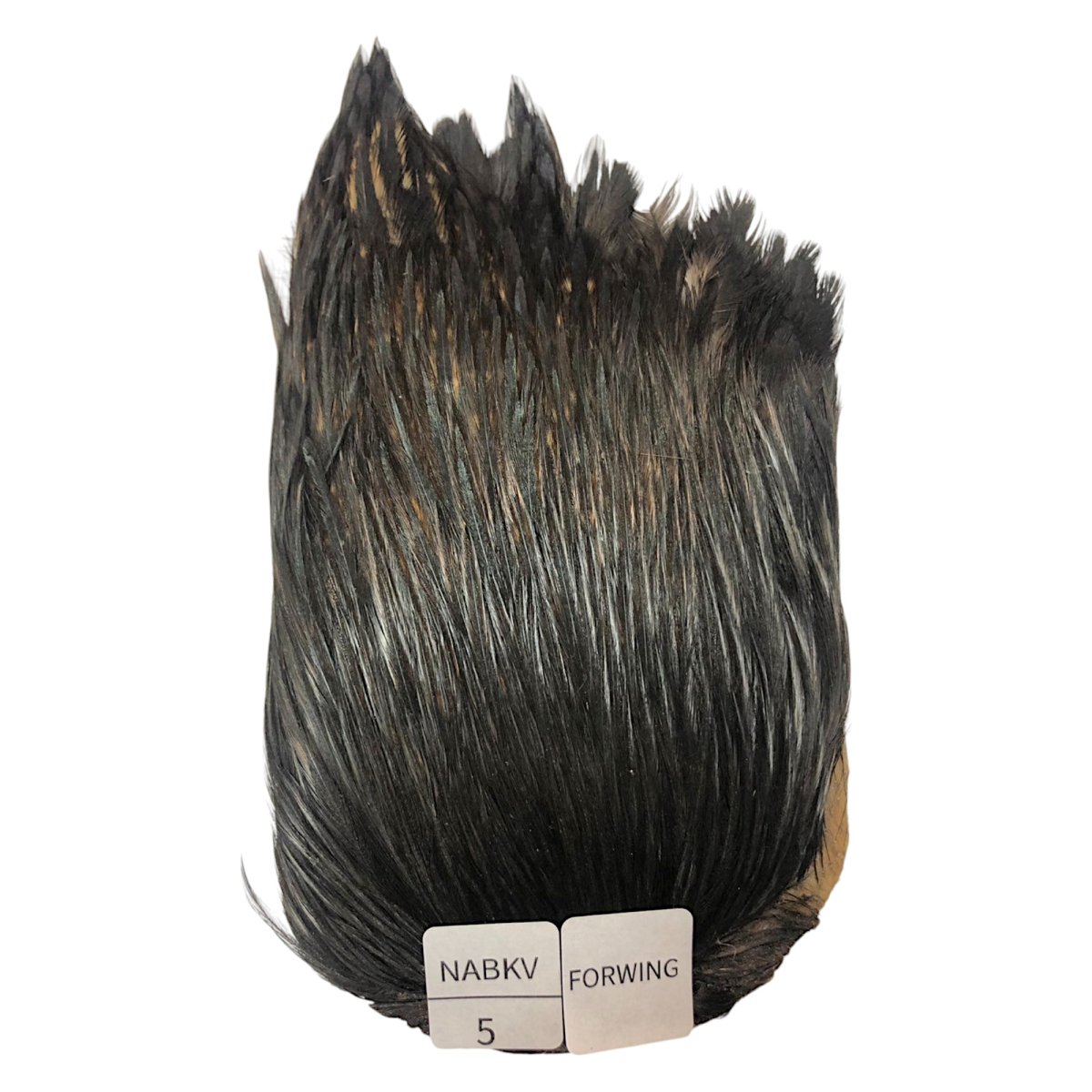 画像1: For Wing　インドコックケープ India Cock Neck Cape　ナチュラルブラックバリアント　NO05 (1)