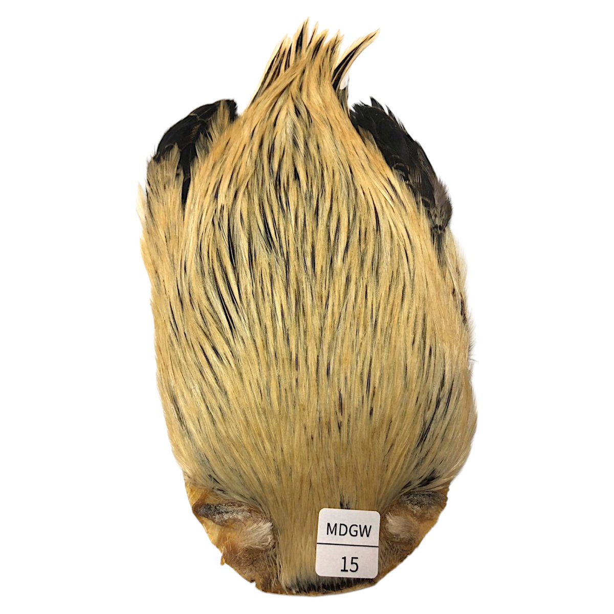 画像1: インドコックケープ India Cock Neck Cape　ミディアムグリーンウェル　NO15 (1)