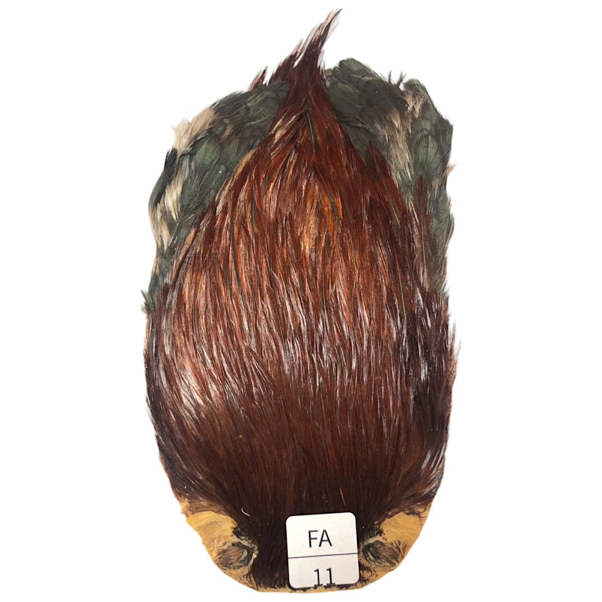 画像1: インドコックケープ India Cock Neck Cape　ファーネス　NO11 (1)