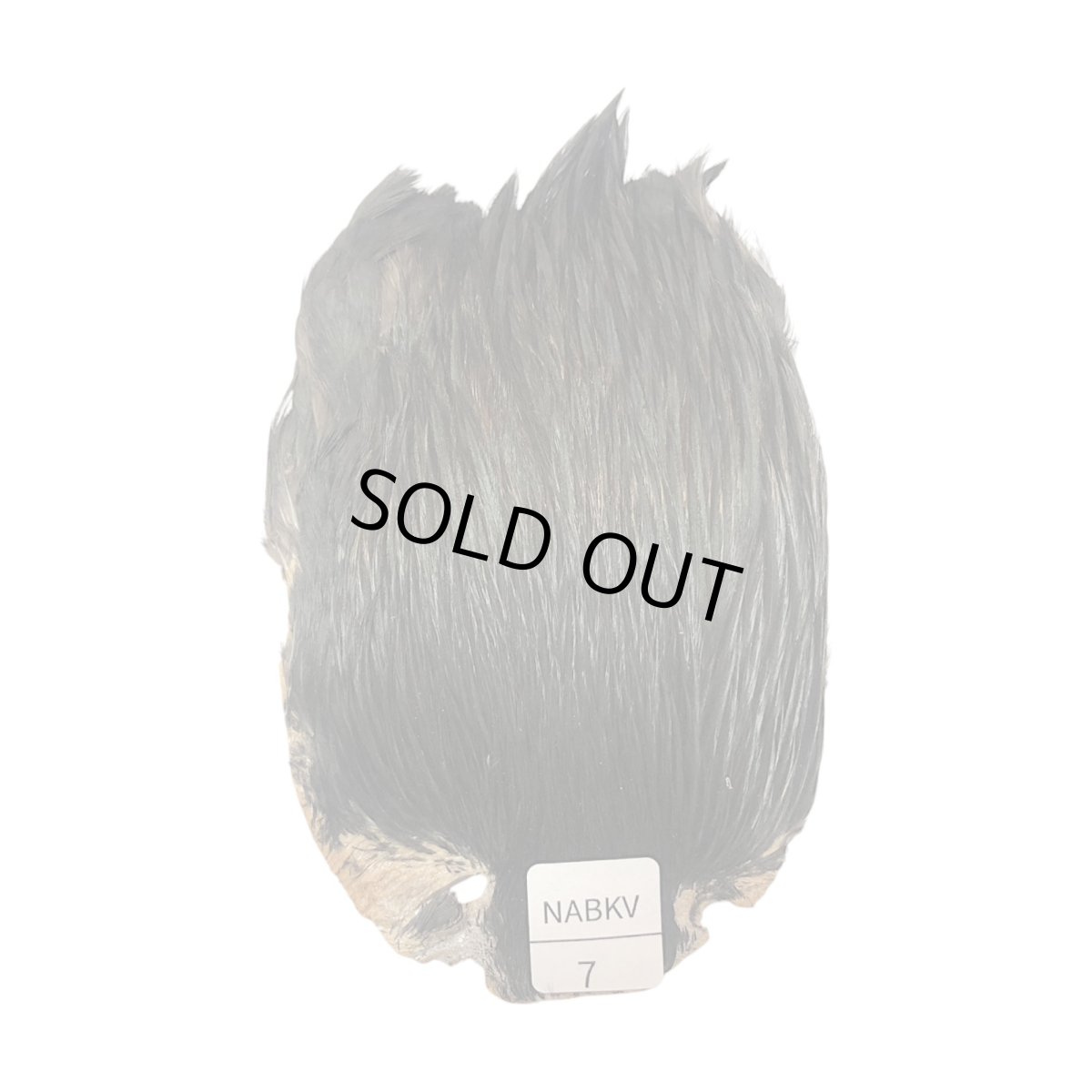 画像1: インドコックケープ India Cock Neck Cape　ナチュラルブラックバリアント　NO07 (1)