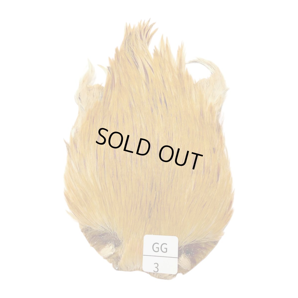 画像1: インドコックケープ India Cock Neck Cape　　ジンジャー　NO03 (1)