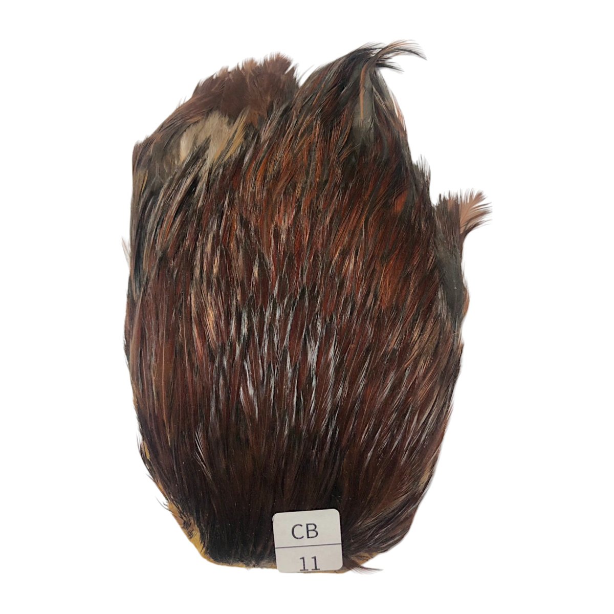 画像1: インドコックケープ India Cock Neck Cape　　コッキィボンデュ　NO11 (1)