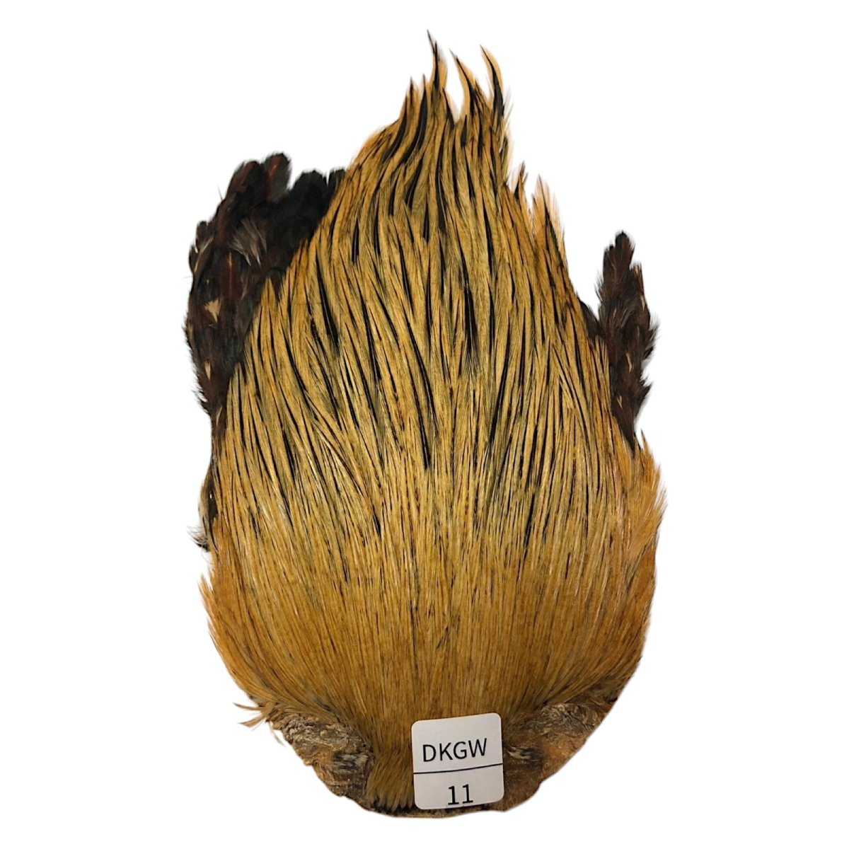 画像1: インドコックケープ India Cock Neck Cape　ダークグリーンウェル　NO11 (1)