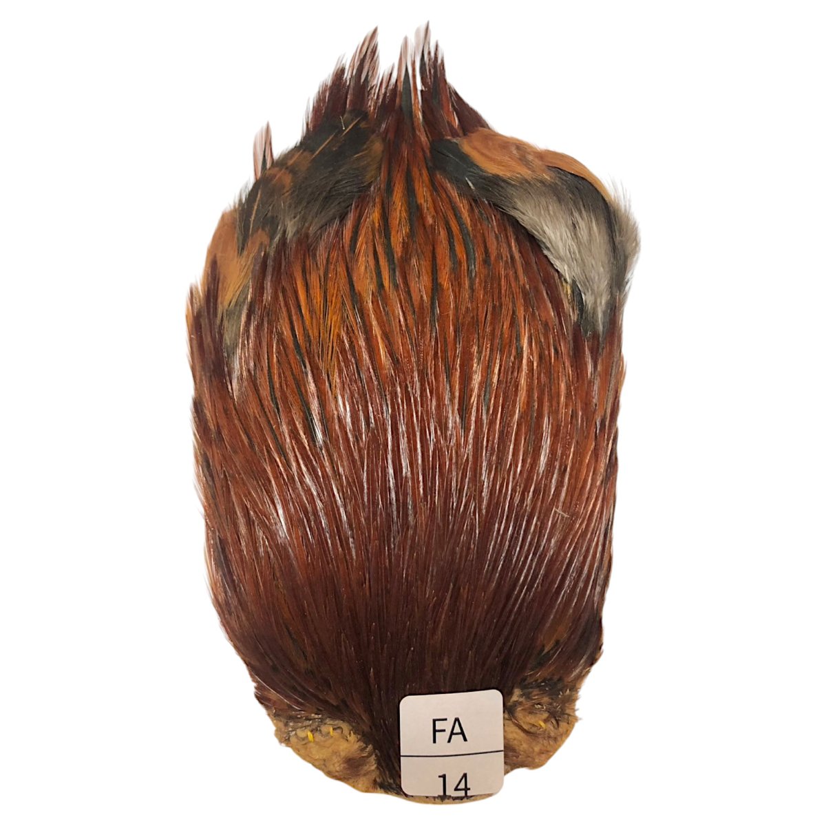 画像1: インドコックケープ India Cock Neck Cape　ファーネス　NO14 (1)