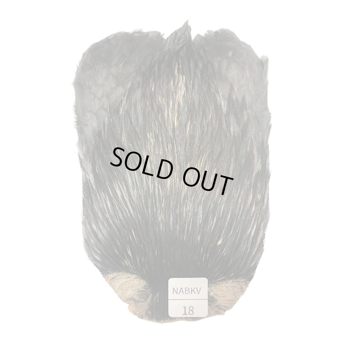 画像1: インドコックケープ India Cock Neck Cape　ナチュラルブラックバリアント　NO18 (1)