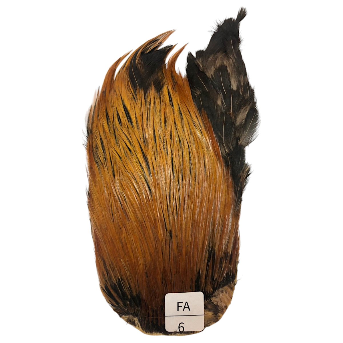 画像1: インドコックケープ India Cock Neck Cape　ファーネス　NO06 (1)
