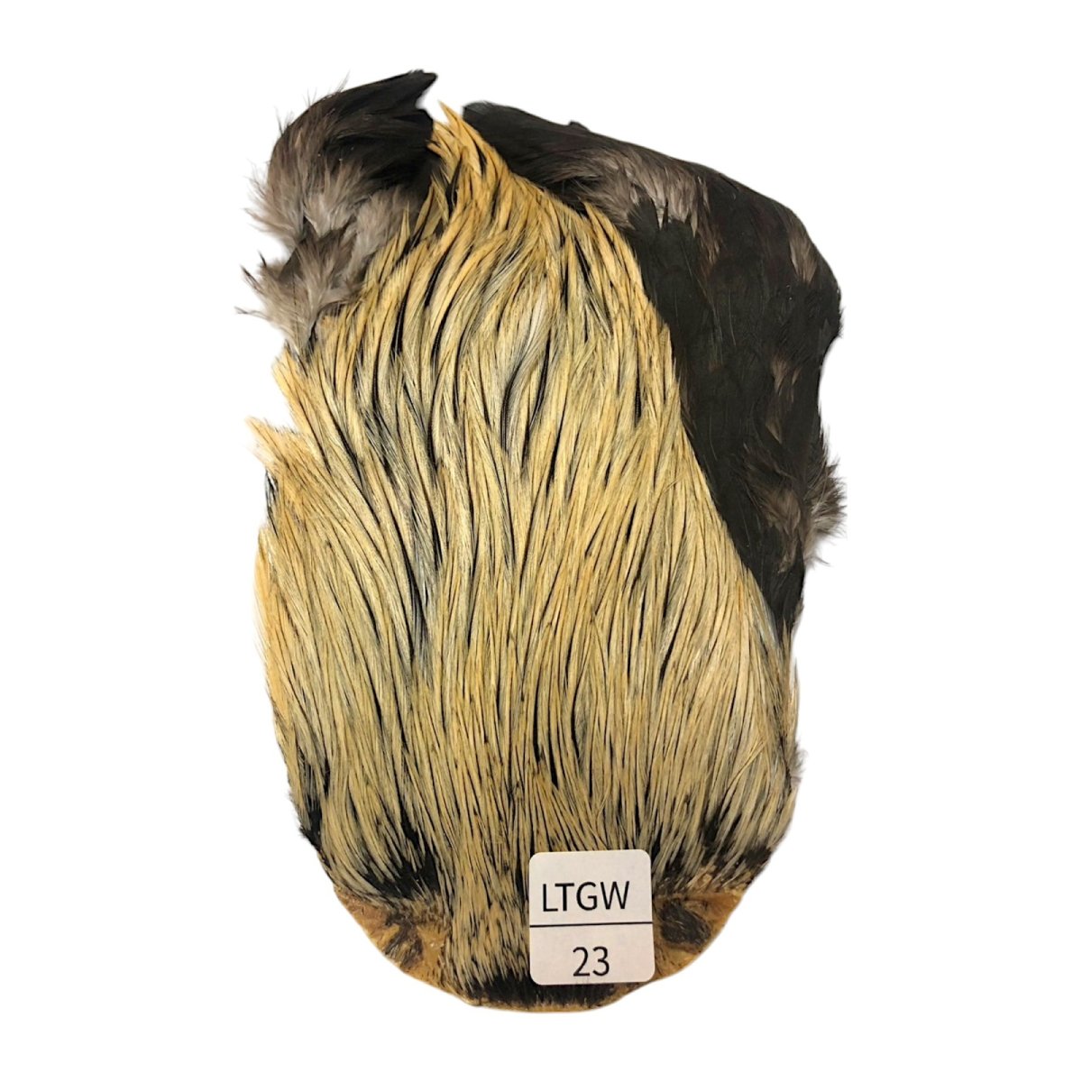 画像1: インドコックケープ India Cock Neck Cape　ライトグリーンウェル　NO23 (1)