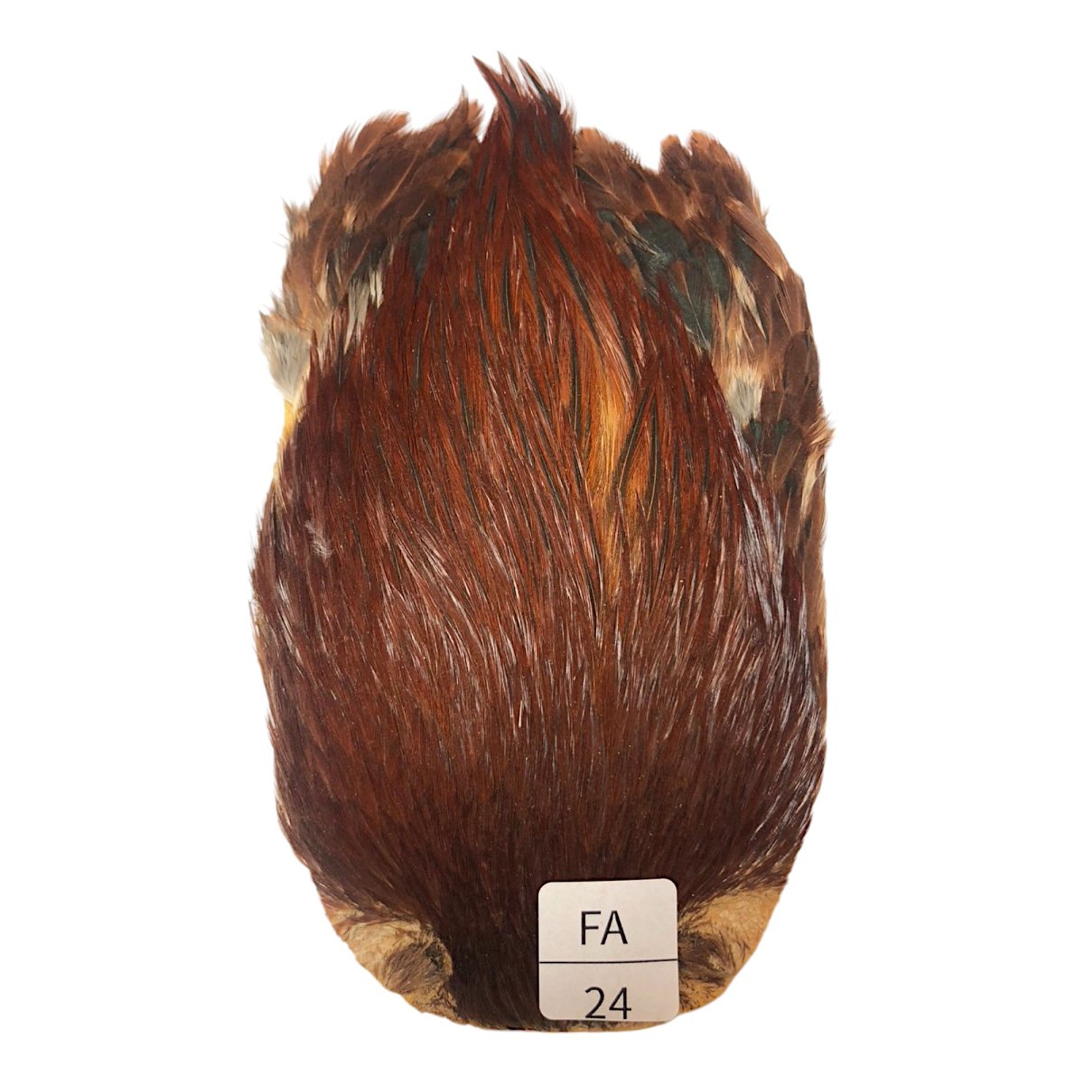 画像1: インドコックケープ India Cock Neck Cape　ファーネス　NO24 (1)