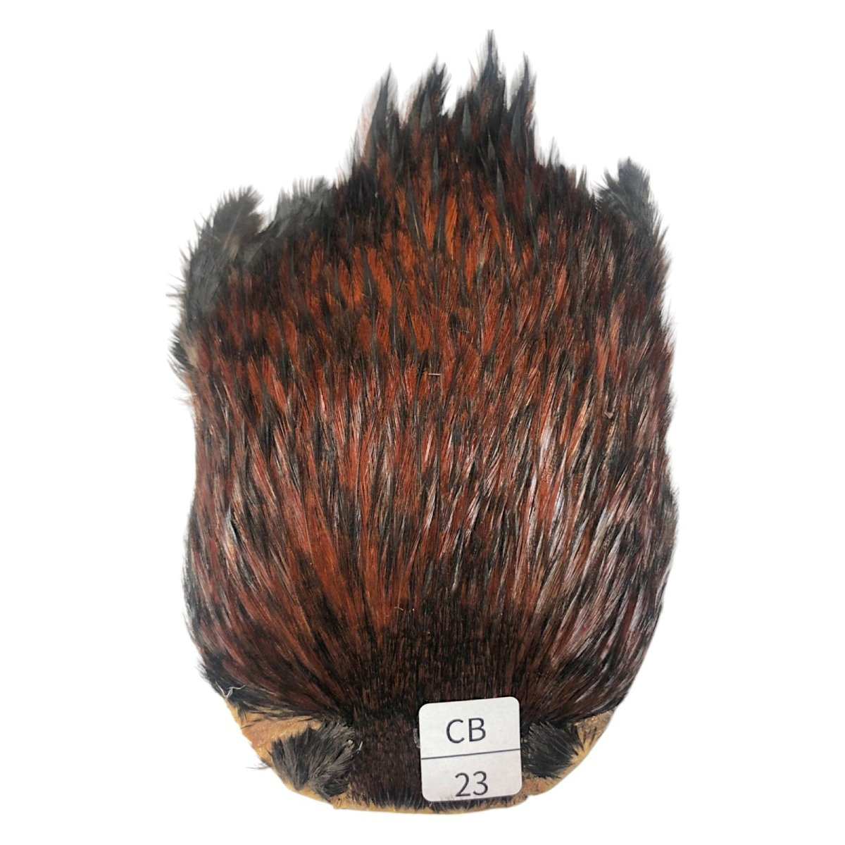 画像1: インドコックケープ India Cock Neck Cape　　コッキィボンデュ　NO23 (1)