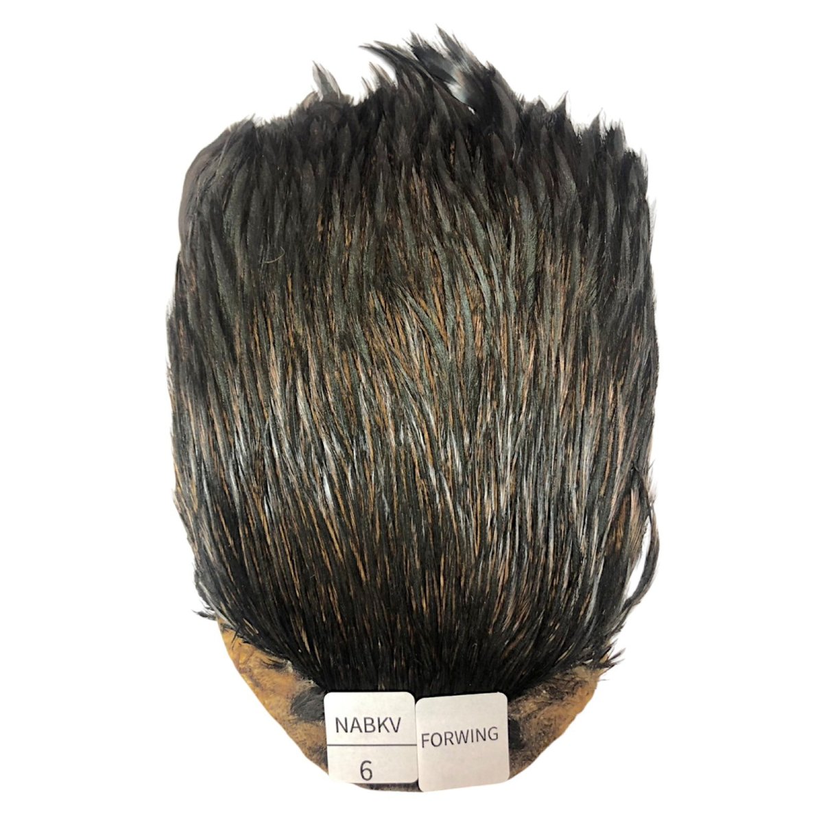 画像1: For Wing　インドコックケープ India Cock Neck Cape　ナチュラルブラックバリアント　NO06 (1)