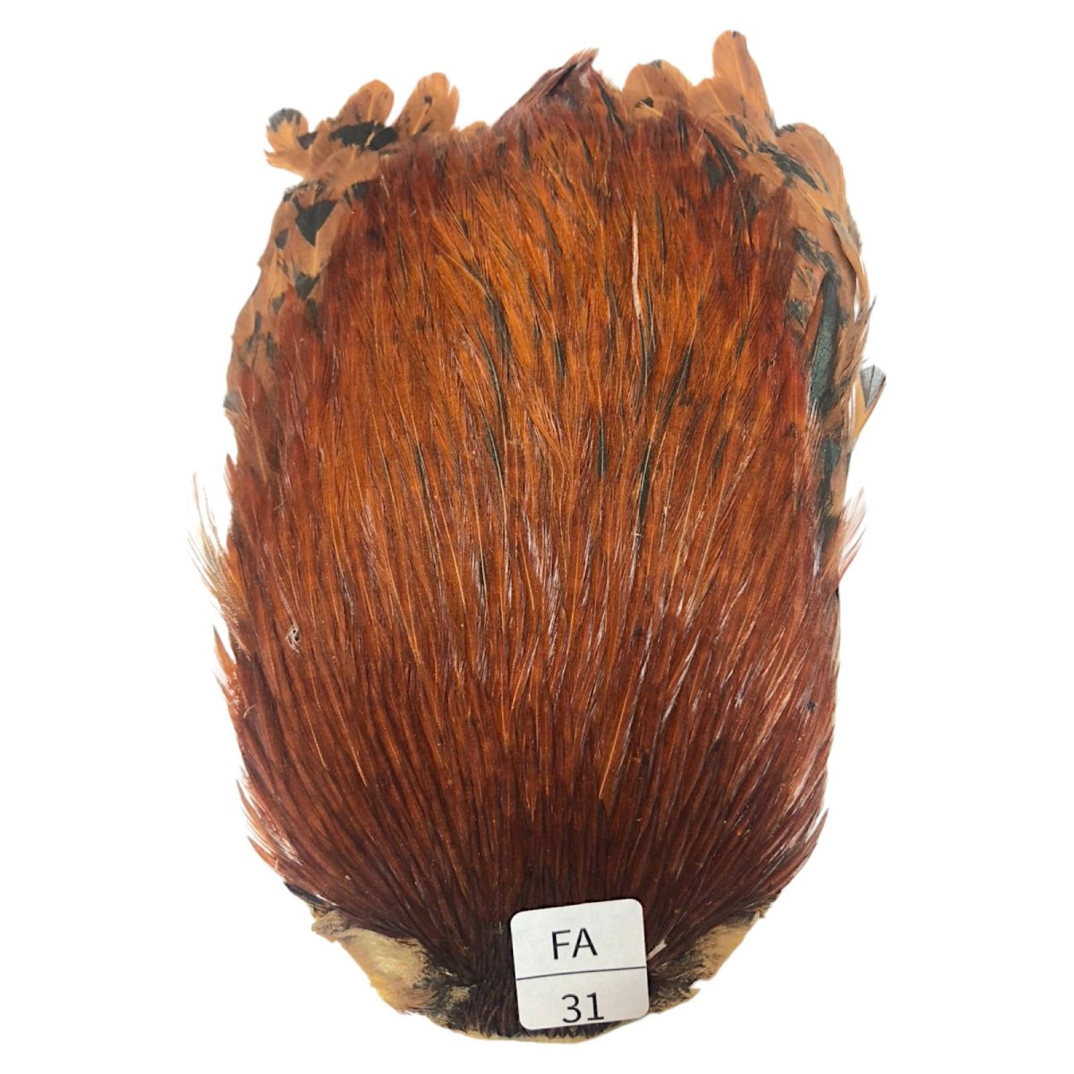 画像1: インドコックケープ India Cock Neck Cape　ファーネス　NO31 (1)