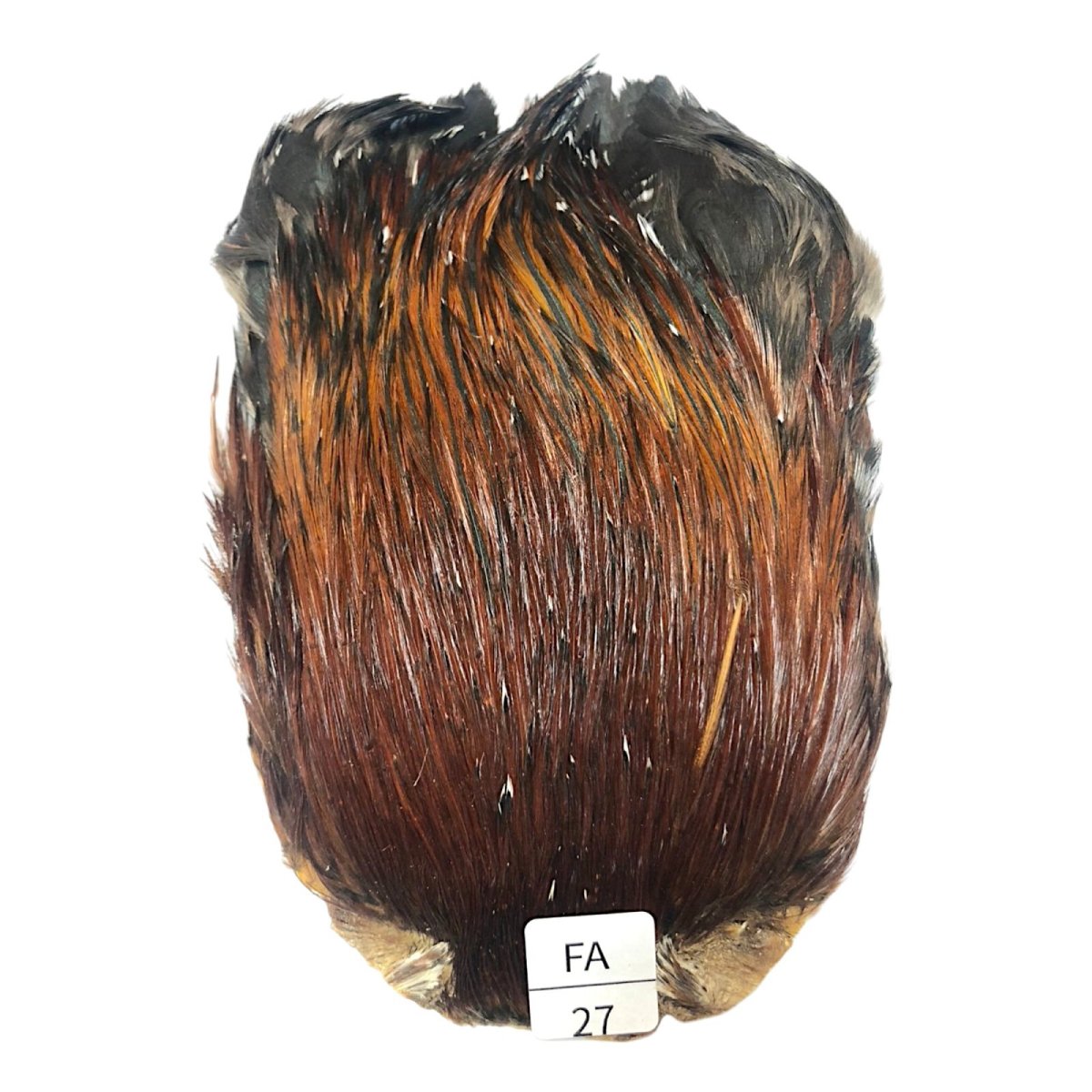 画像1: インドコックケープ India Cock Neck Cape　ファーネス　NO27 (1)