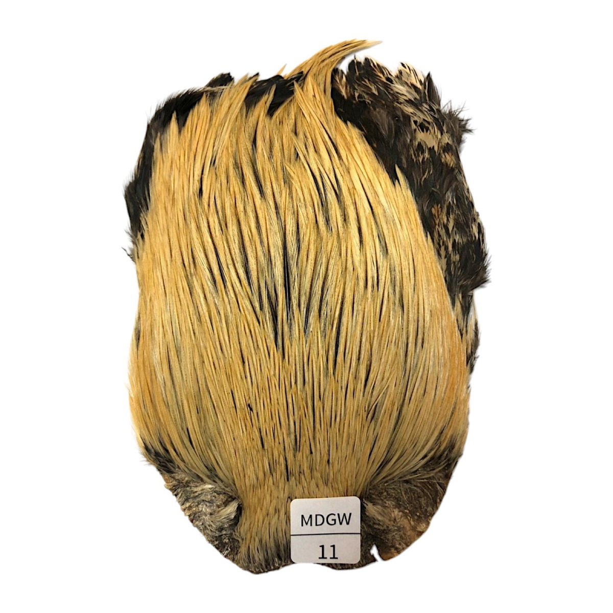 画像1: インドコックケープ India Cock Neck Cape　ミディアムグリーンウェル　NO11 (1)