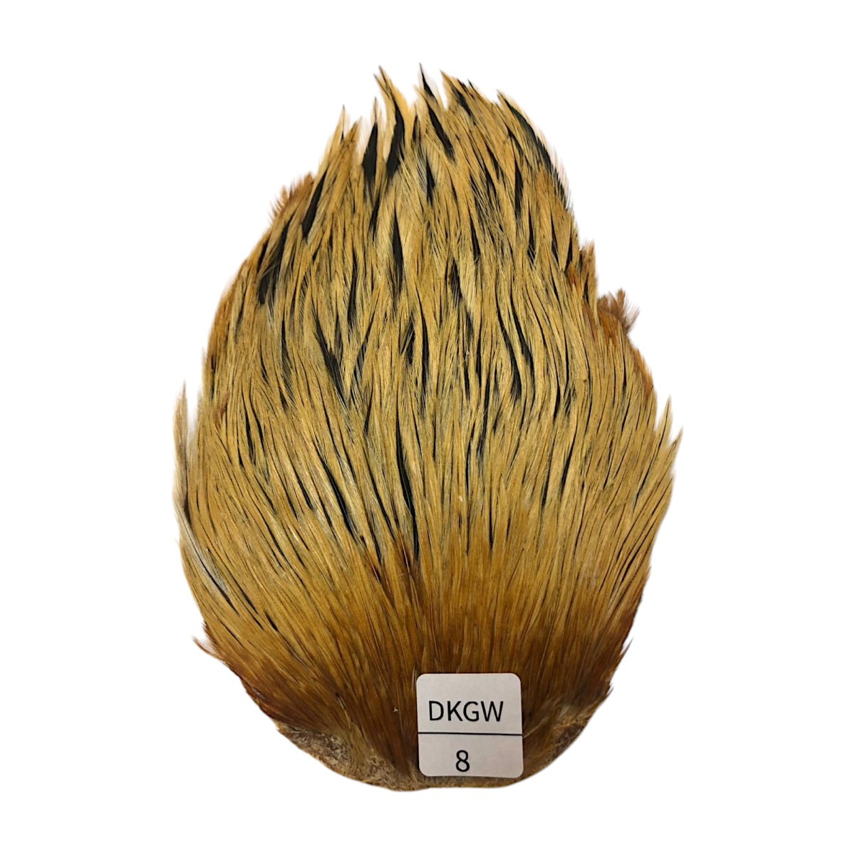画像1: インドコックケープ India Cock Neck Cape　ダークグリーンウェル　NO08 (1)
