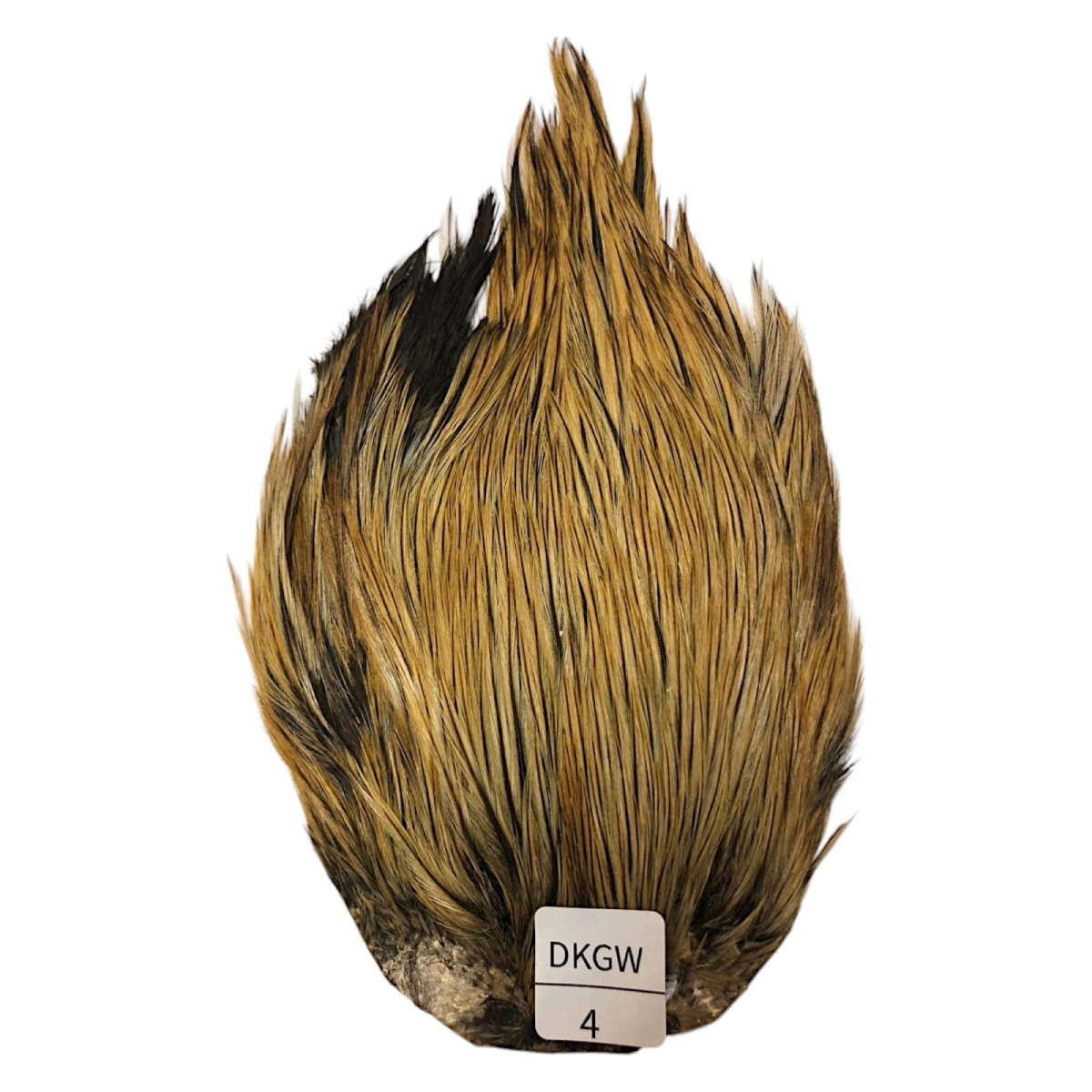 画像1: インドコックケープ India Cock Neck Cape　ダークグリーンウェル　NO04 (1)