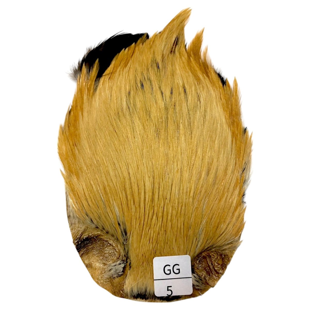 画像1: インドコックケープ India Cock Neck Cape　　ジンジャー　NO05 (1)