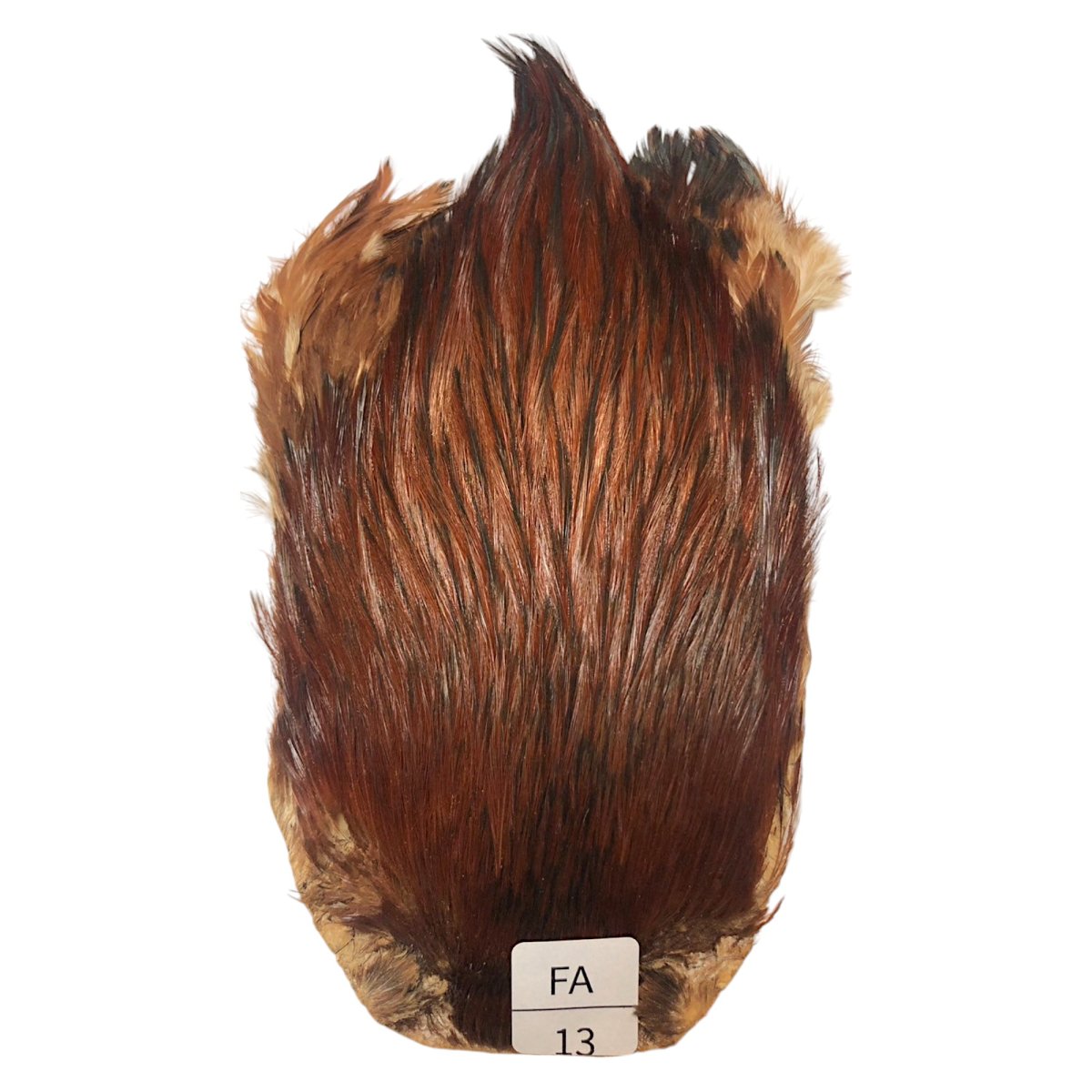 画像1: インドコックケープ India Cock Neck Cape　ファーネス　NO13 (1)
