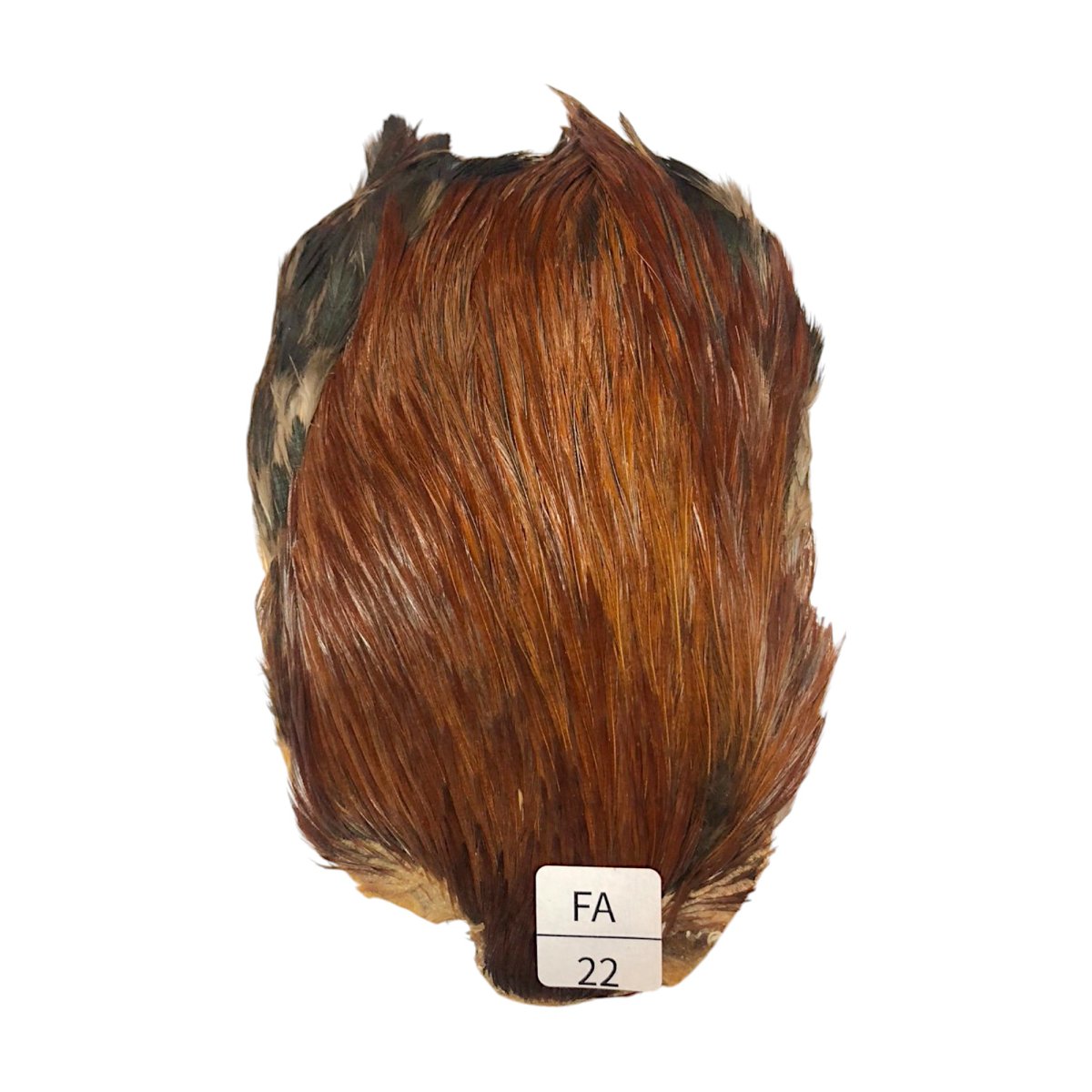 画像1: インドコックケープ India Cock Neck Cape　ファーネス　NO22 (1)