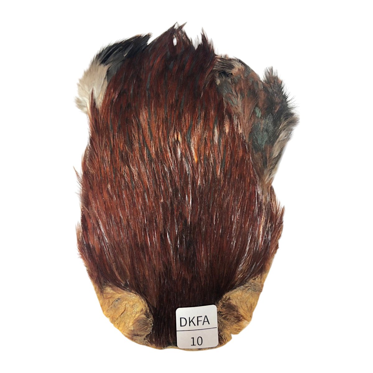 画像1: インドコックケープ India Cock Neck Cape　ダークファーネス　NO10 (1)