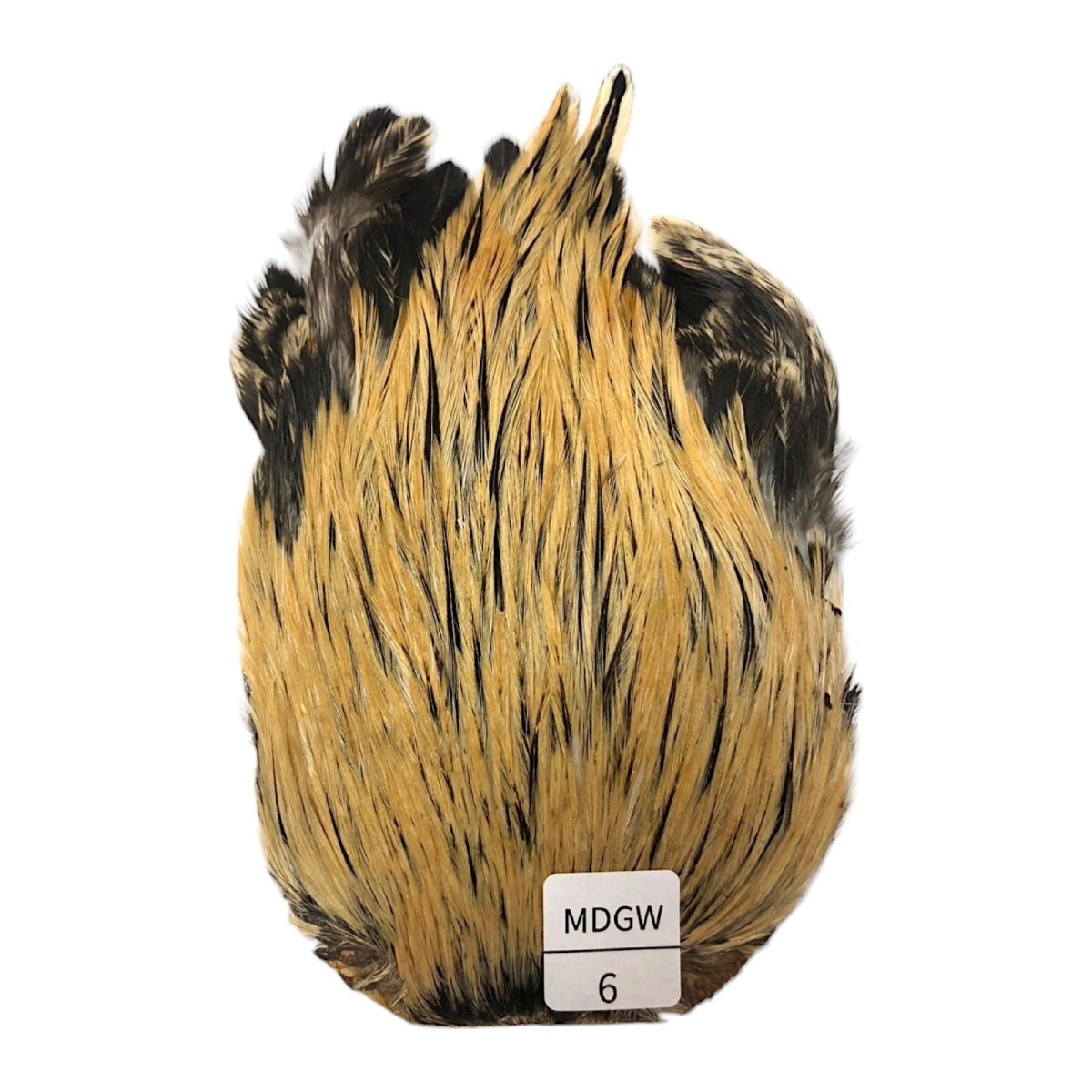 画像1: インドコックケープ India Cock Neck Cape　ミディアムグリーンウェル　NO06 (1)