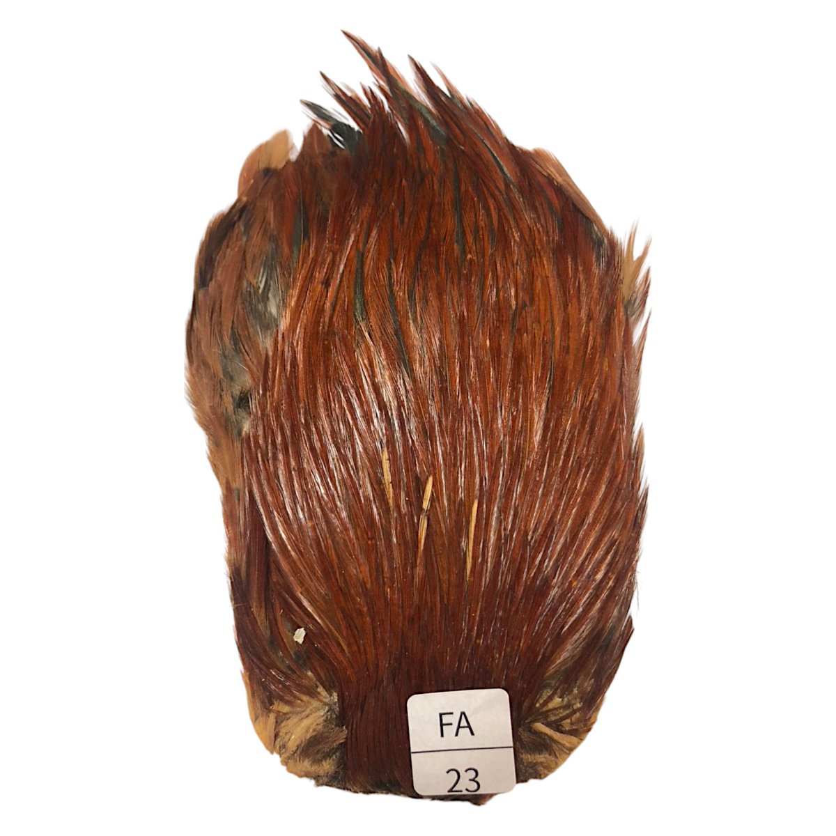 画像1: インドコックケープ India Cock Neck Cape　ファーネス　NO23 (1)