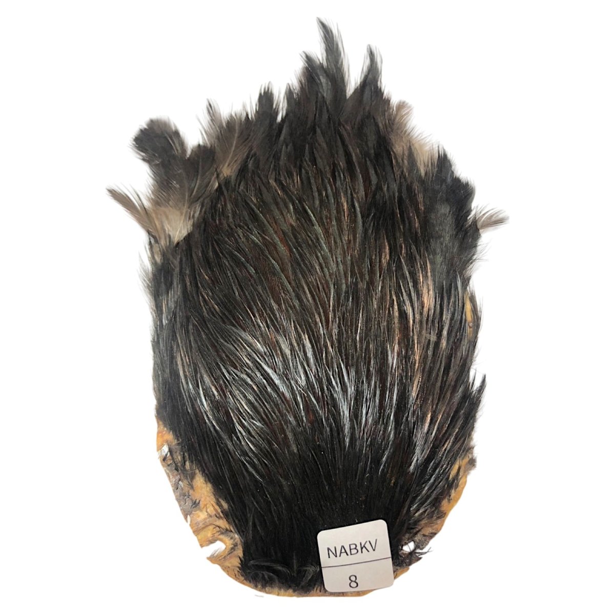 画像1: インドコックケープ India Cock Neck Cape　ナチュラルブラックバリアント　NO08 (1)