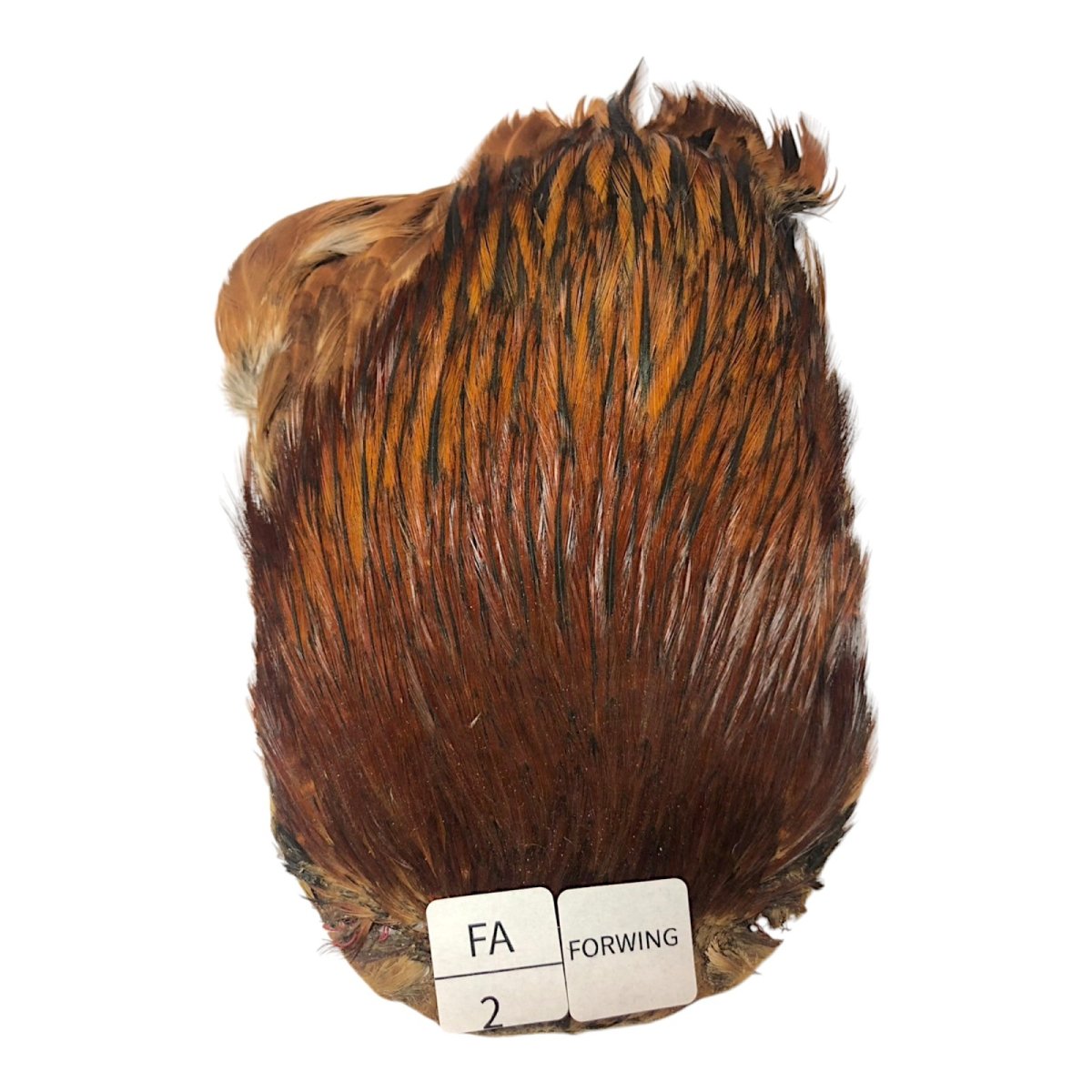 画像1: For Wing　インドコックケープ India Cock Neck Cape　ファーネス　NO02 (1)