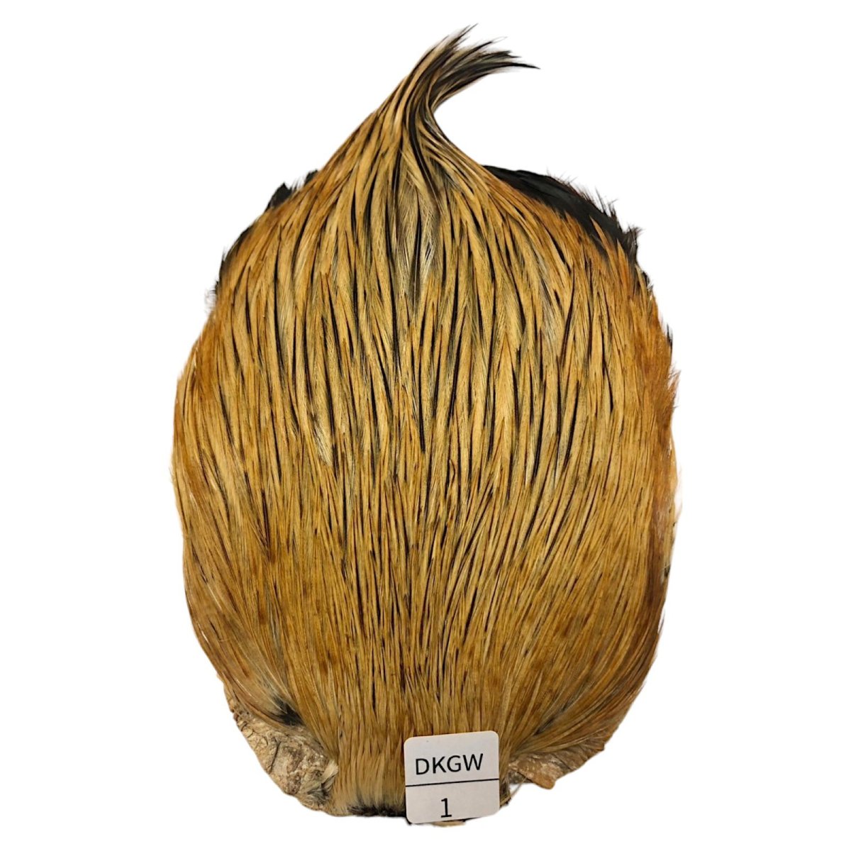 画像1: インドコックケープ India Cock Neck Cape　ダークグリーンウェル　NO01 (1)