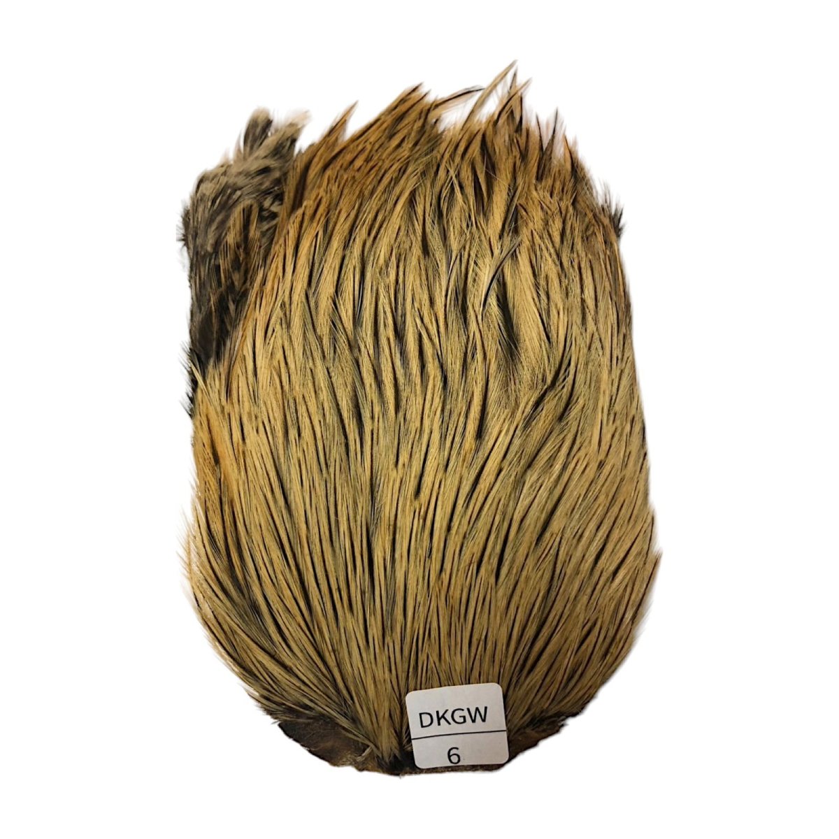 画像1: インドコックケープ India Cock Neck Cape　ダークグリーンウェル　NO06 (1)