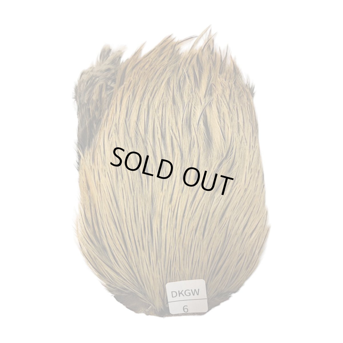 画像1: インドコックケープ India Cock Neck Cape　ダークグリーンウェル　NO06 (1)