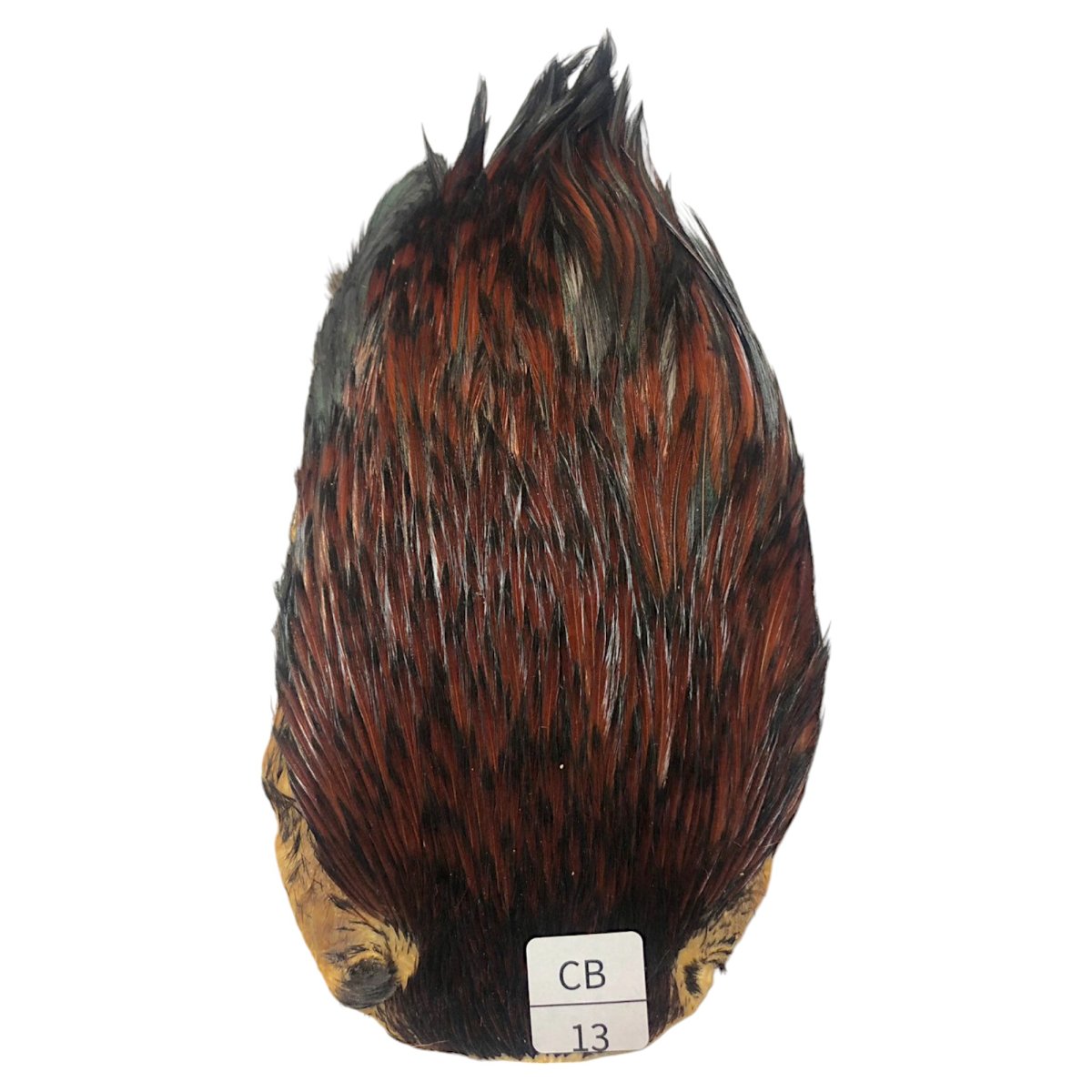 画像1: インドコックケープ India Cock Neck Cape　　コッキィボンデュ　NO13 (1)