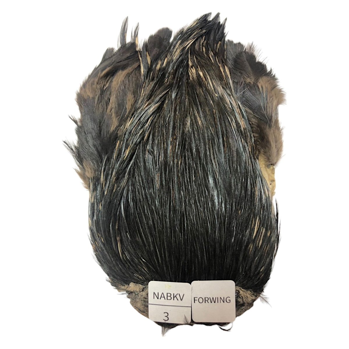 画像1: For Wing　インドコックケープ India Cock Neck Cape　ナチュラルブラックバリアント　NO3 (1)