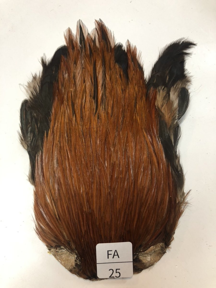 画像1: インドコックケープ India Cock Neck Cape　ファーネス　NO25 (1)