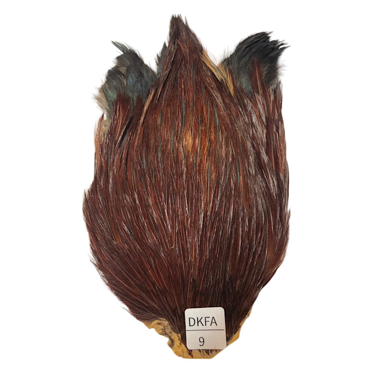 画像1: インドコックケープ India Cock Neck Cape　ダークファーネス　NO09 (1)