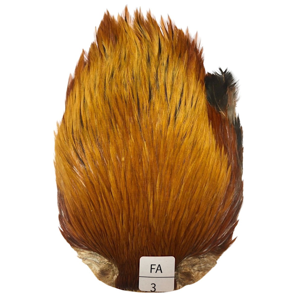 画像1: インドコックケープ India Cock Neck Cape　ファーネス　NO03 (1)