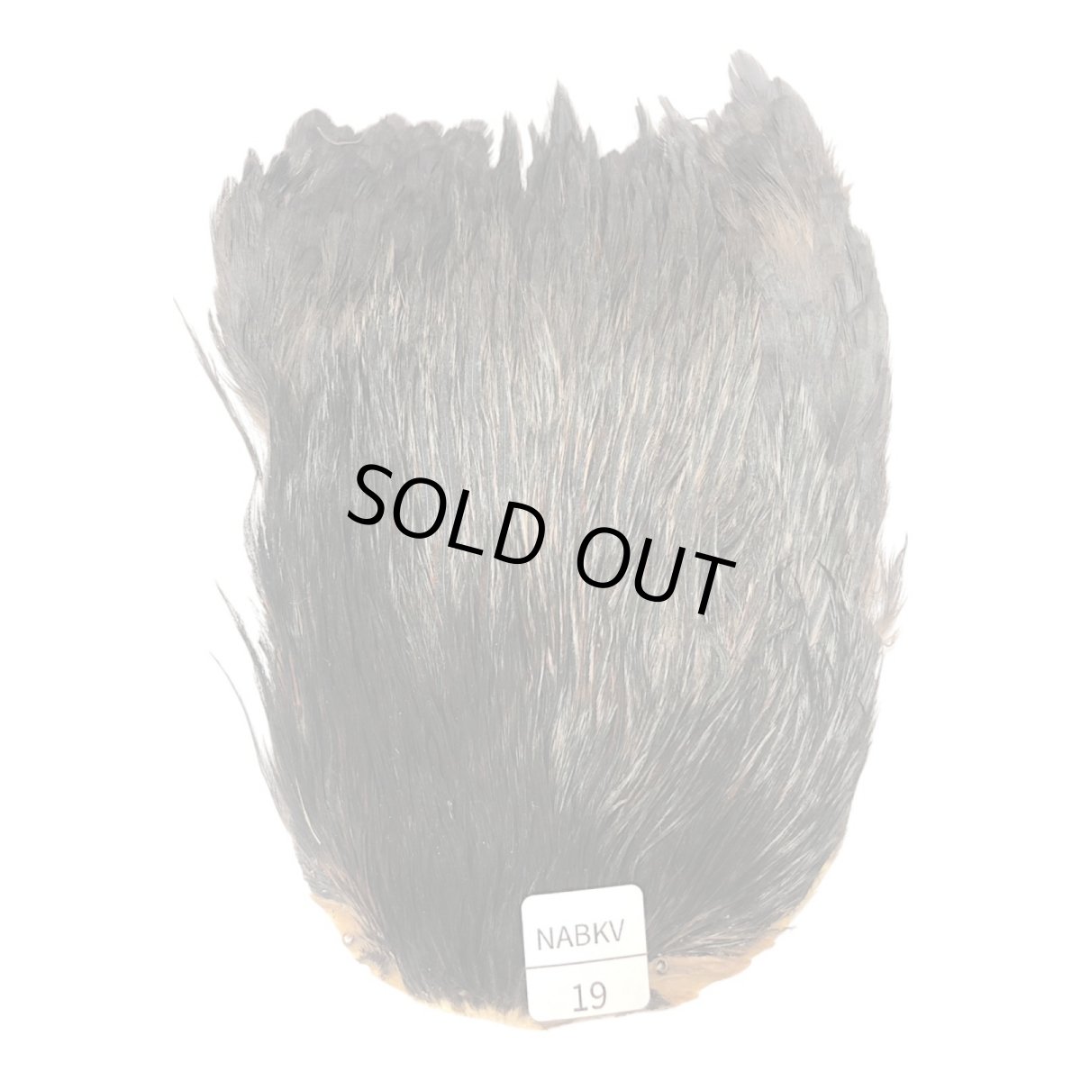 画像1: インドコックケープ India Cock Neck Cape　ナチュラルブラックバリアント　NO19 (1)