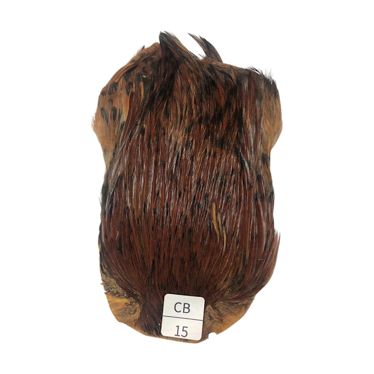 画像1: インドコックケープ India Cock Neck Cape　　コッキィボンデュ　NO15 (1)
