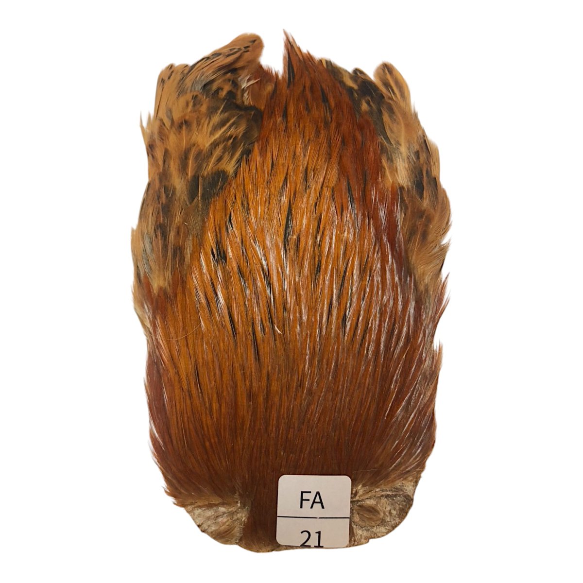 画像1: インドコックケープ India Cock Neck Cape　ファーネス　NO21 (1)