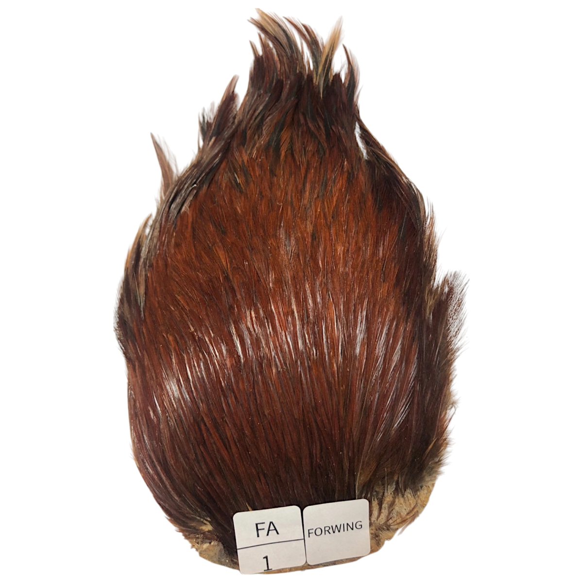 画像1: For Wing　インドコックケープ India Cock Neck Cape　ファーネス　NO1 (1)