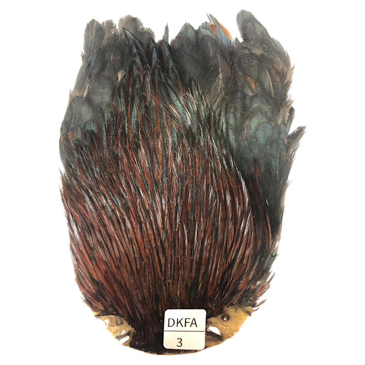 画像1: インドコックケープ India Cock Neck Cape　ダークファーネス　NO03 (1)