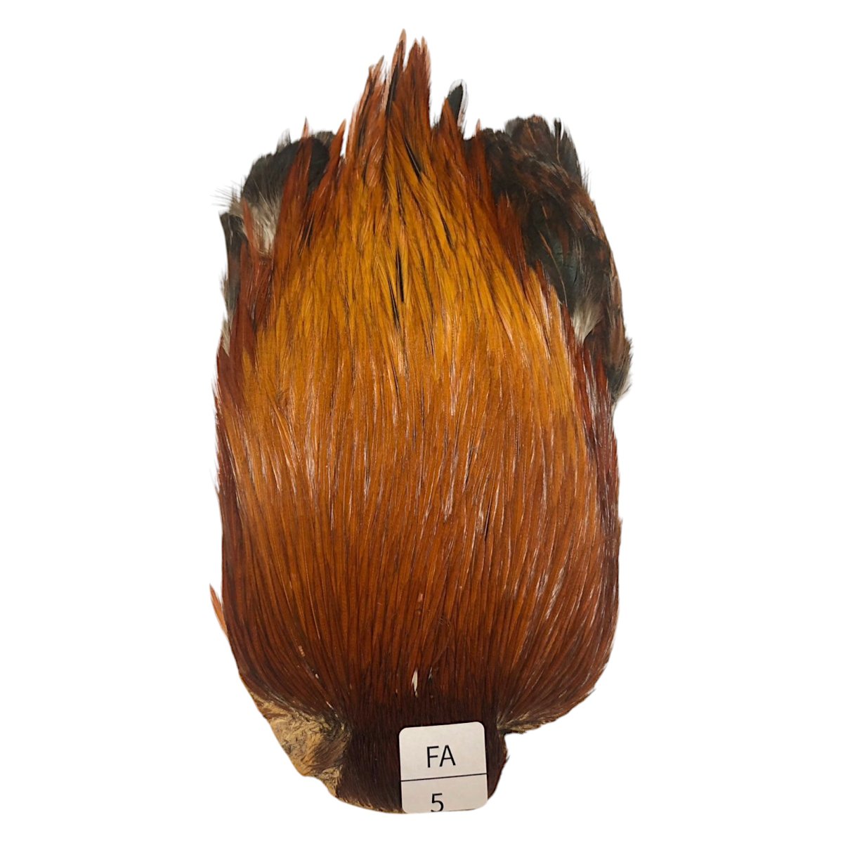 画像1: インドコックケープ India Cock Neck Cape　ファーネス　NO05 (1)