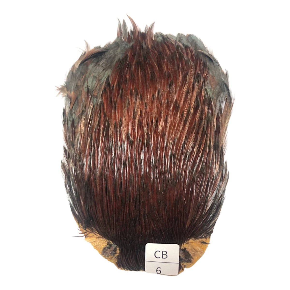 画像1: インドコックケープ India Cock Neck Cape　　コッキィボンデュ　NO06 (1)