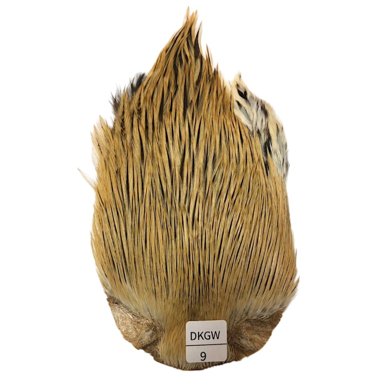 画像1: インドコックケープ India Cock Neck Cape　ダークグリーンウェル　NO09 (1)