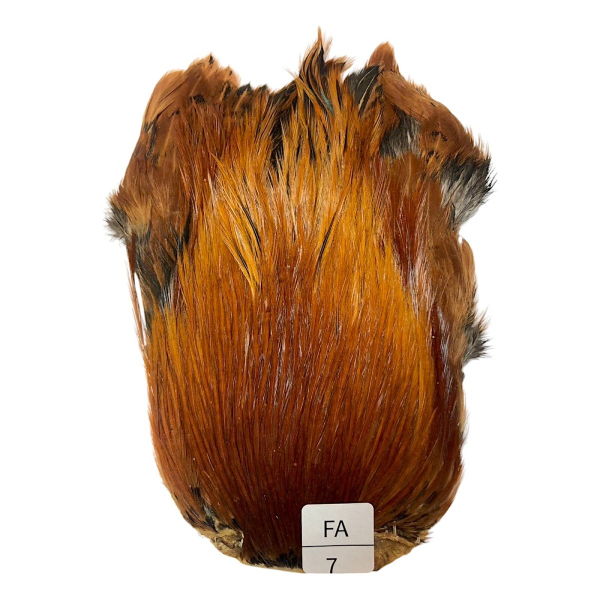 画像1: インドコックケープ India Cock Neck Cape　ファーネス　NO07 (1)