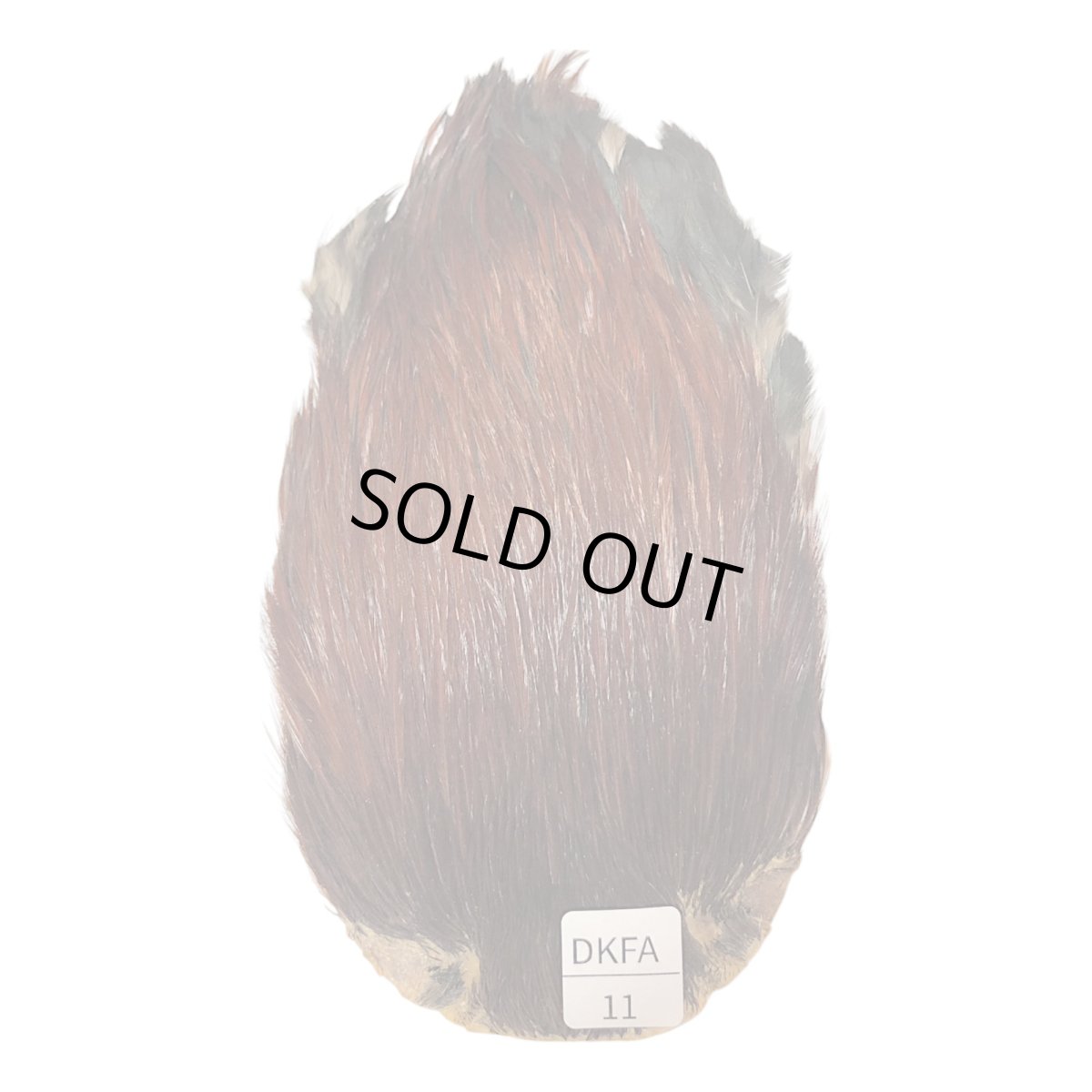 画像1: インドコックケープ India Cock Neck Cape　ダークファーネス　NO11 (1)