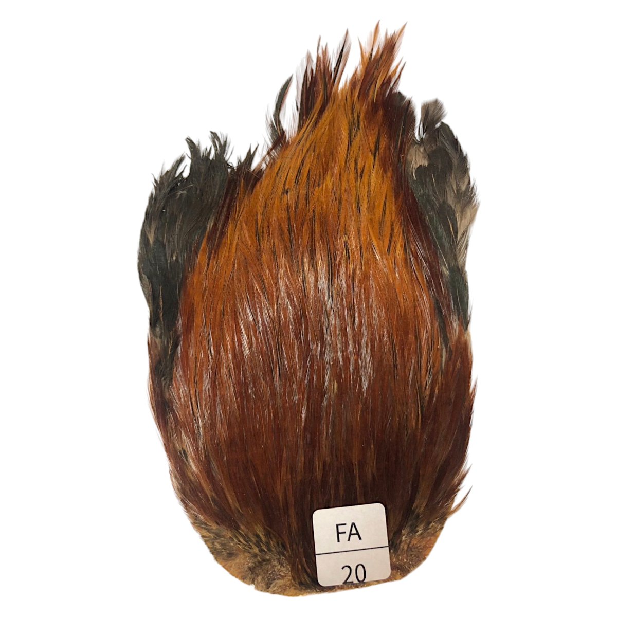 画像1: インドコックケープ India Cock Neck Cape　ファーネス　NO20 (1)
