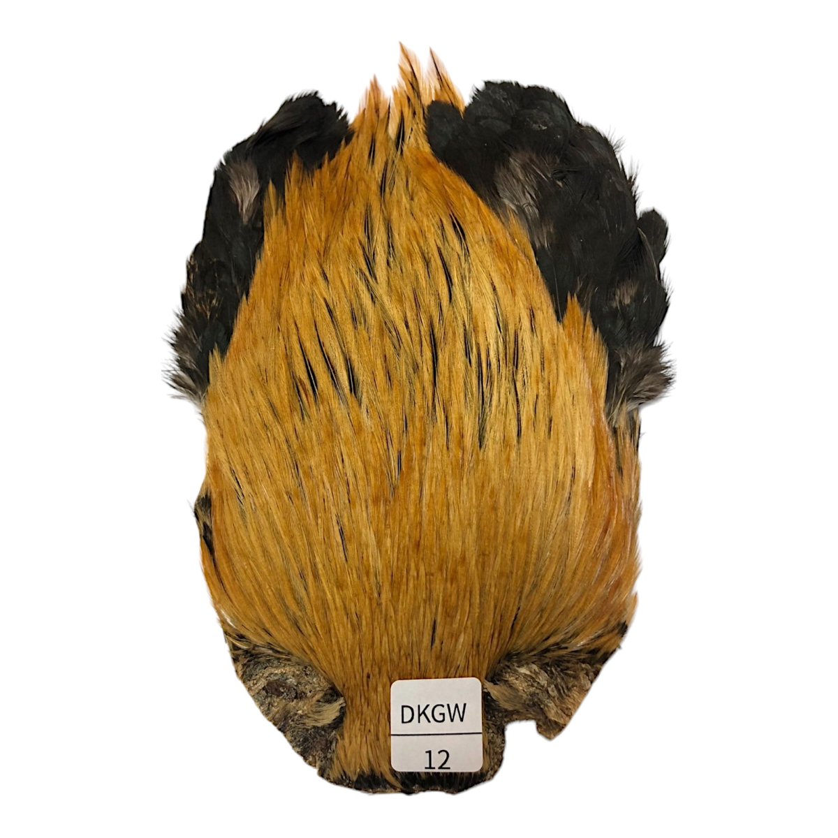 画像1: インドコックケープ India Cock Neck Cape　ダークグリーンウェル　NO12 (1)