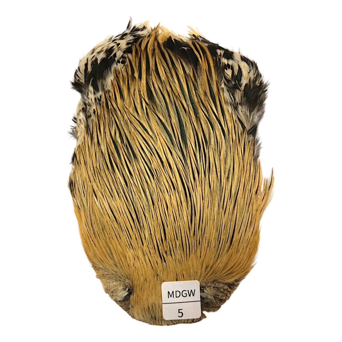 画像1: インドコックケープ India Cock Neck Cape　ミディアムグリーンウェル　NO05 (1)